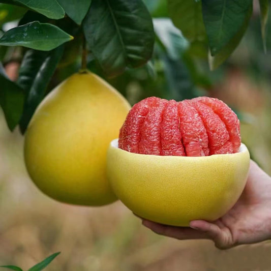 Pomelo Czerwone